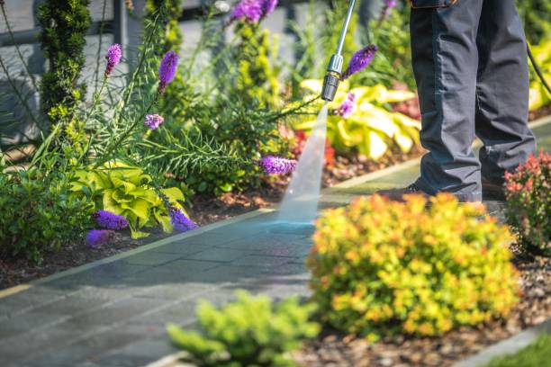 Best Gutter Cleaning and Brightening in Clarksville, TX