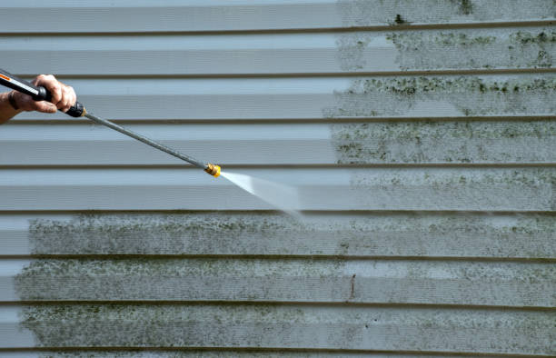 Best Sidewalk and Walkway Pressure Cleaning in Clarksville, TX
